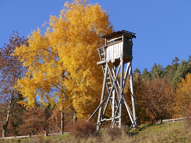 Hochsitz